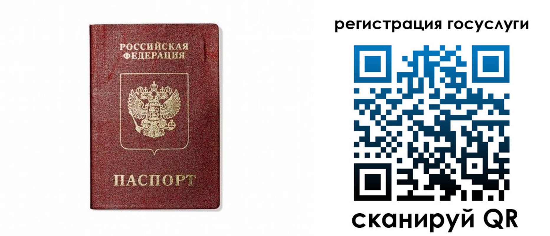 прописка паспорт в Приозерске